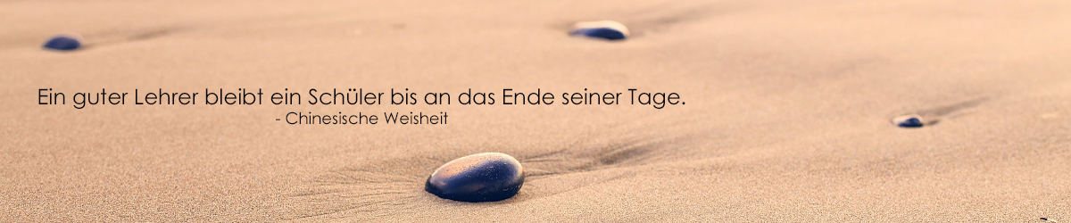 Zhineng Qigong chinesische Lehrer
