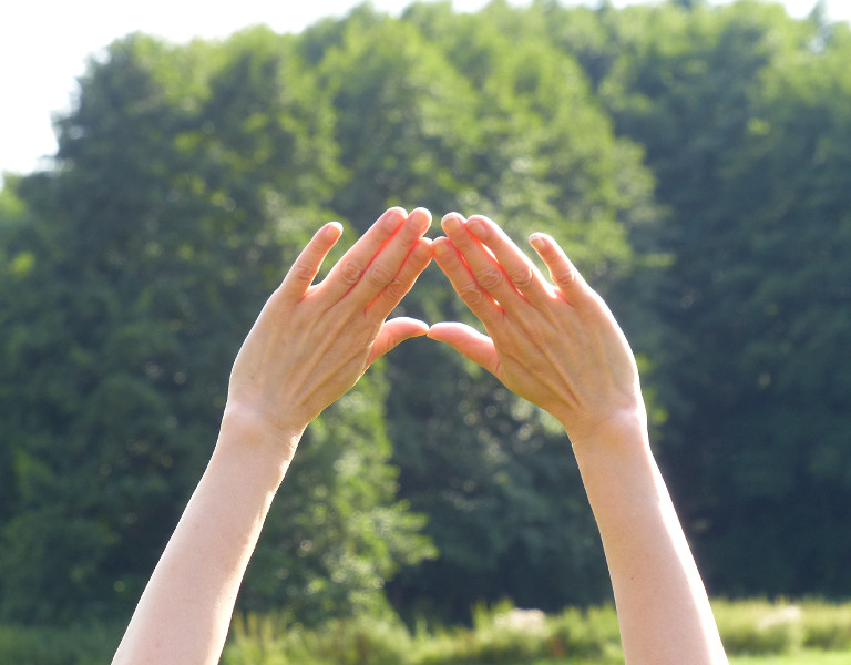 Zhineng Qigong Stufe 1 